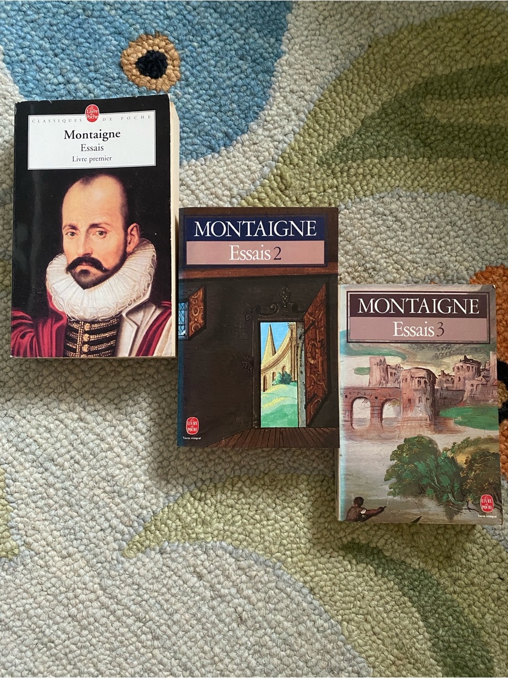Michel de Montaigne - Les Essais - French Language